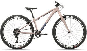 Catt Jr 27