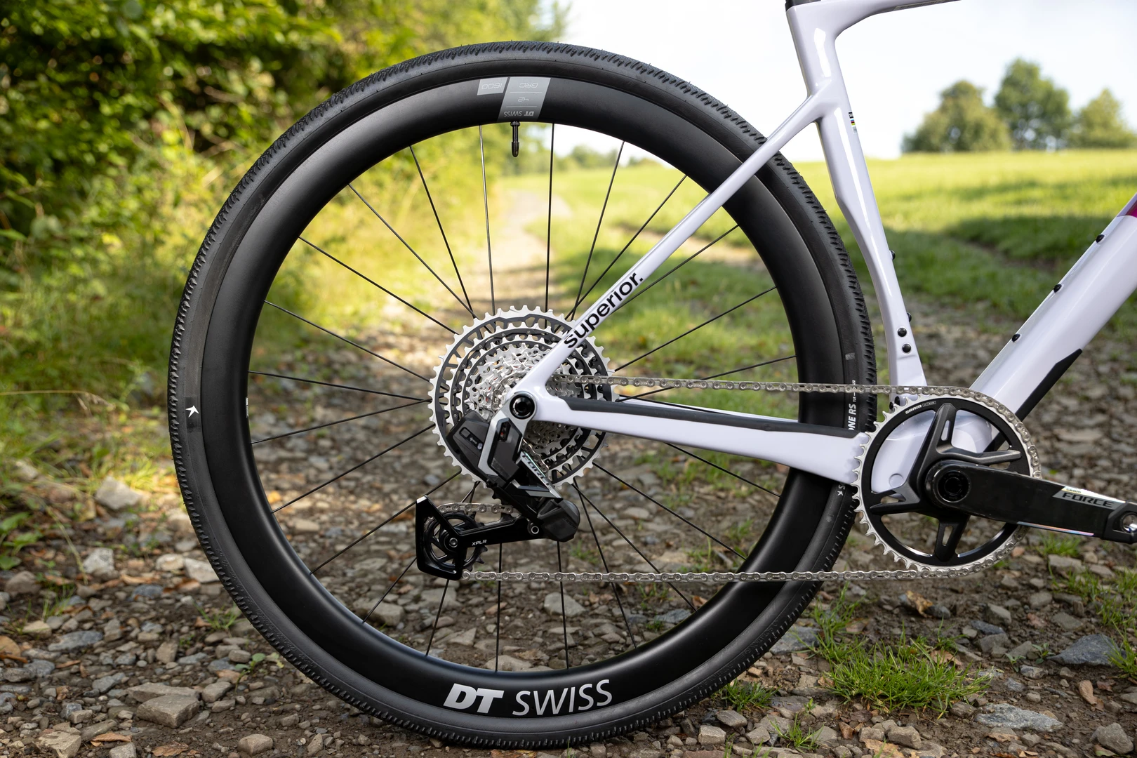 D56I9182-Edit.jpg