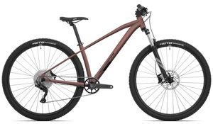 Catt 30